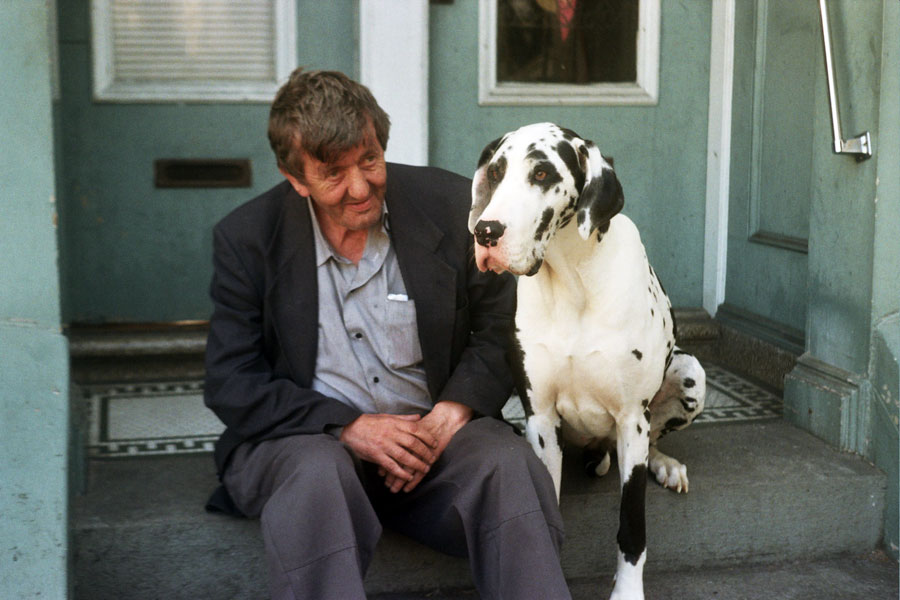 Noe Valley Man + Dog